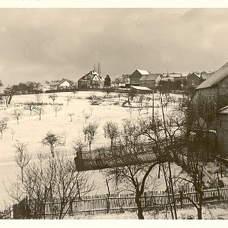 Bild0202 Blick auf die Streuobstwiesen des "Biengartens". Heute ist dort die Wohnstrasse "im Biengarten". Im Hintergrund die Pappeln der Villa in der Eltviller Strasse.