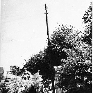 Bild0006 Karl Krieger auf seinem Pferdegespann mit einer Ladung Getreidegarben vor dem Milchhäuschen in der Kreuzgasse (heute Ecke Eltviller / Talstrasse) gezogen von...