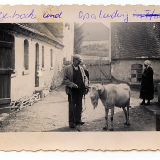 Bild0655 ca. 1937 Ludwig Schröttle im Hof der Hänchesmühle mit dem Gemeindeziegenbock. Die beiden Damen im Hintergrund könnten Maria Schröttle geb. Wollbacher und Maria...